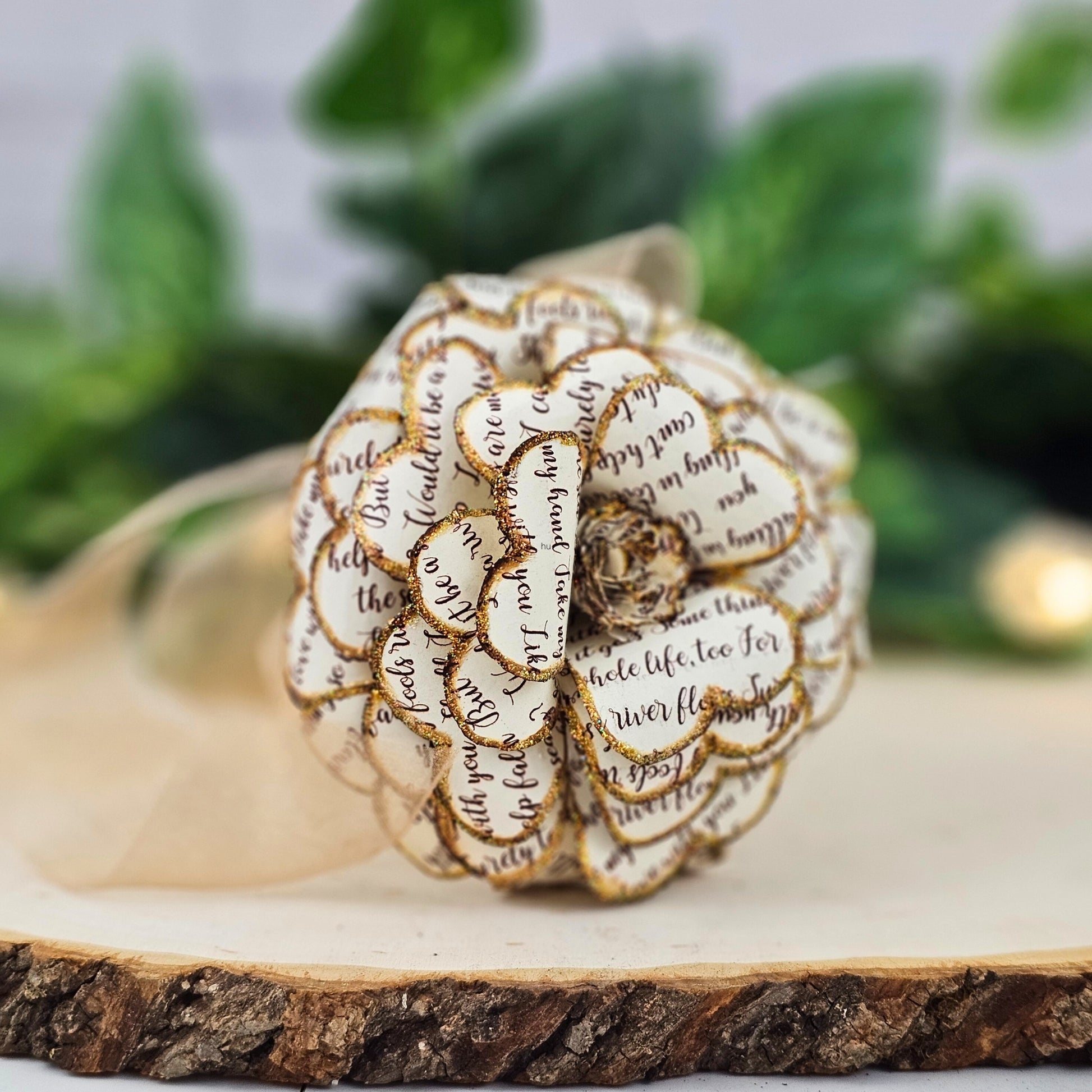 close up of single stem paper rose