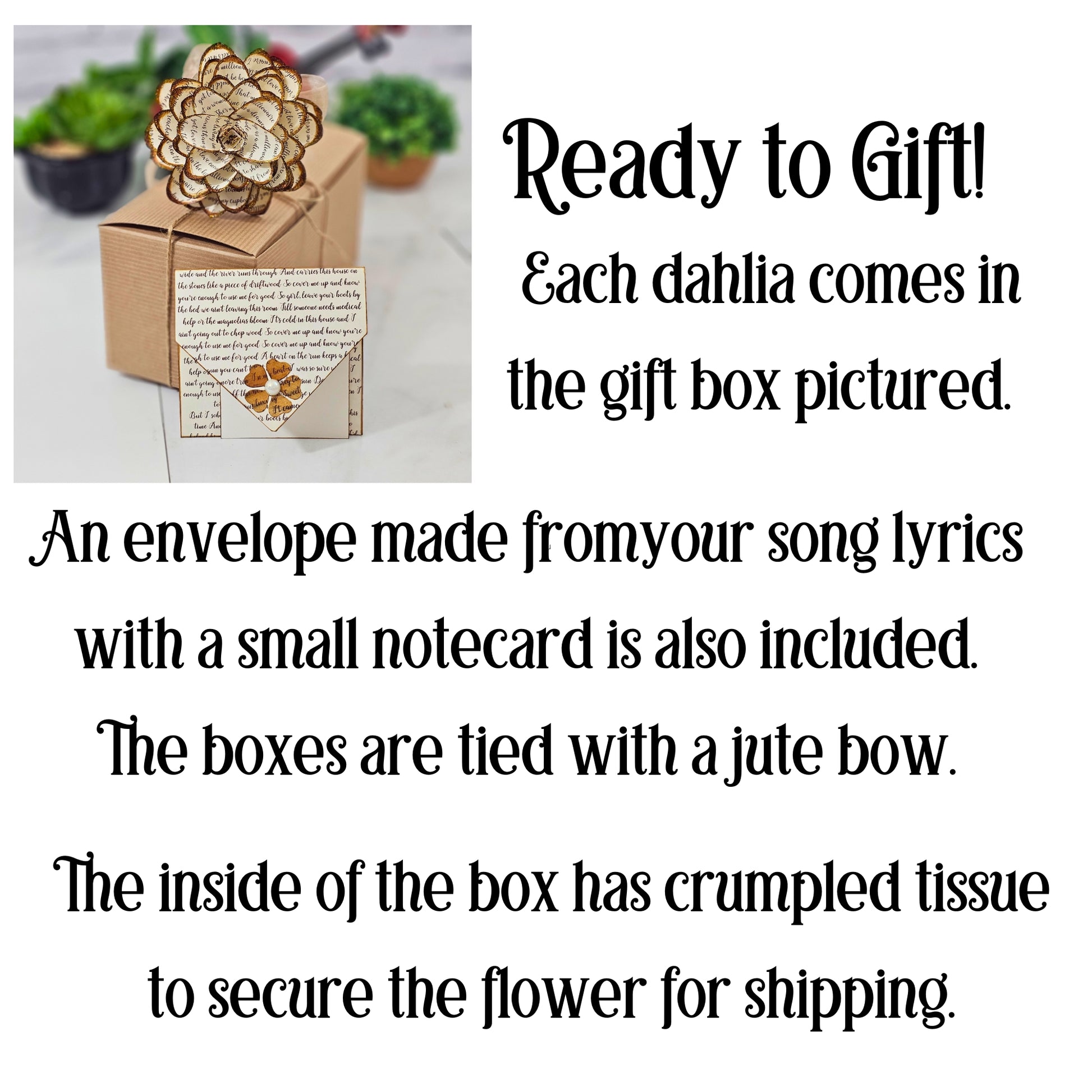 each dahlia comes boxed and ready to gift
